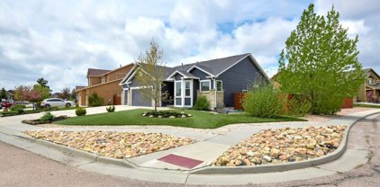 10444 Mount Wilson Place, Peyton