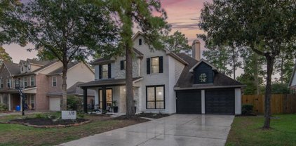 178 Golden Autumn Place, The Woodlands