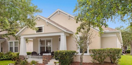 14575 Jamaica Dogwood Drive, Orlando