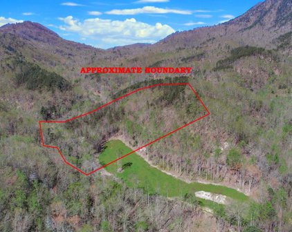 7.64 AC (Tract 1) Yellow Springs Rd, Cosby
