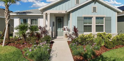 3715 Persimmon Park Drive, Wesley Chapel