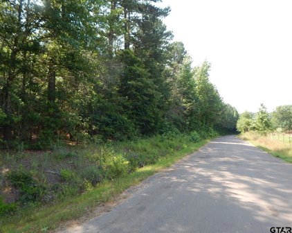 TBD E 5 ACRES CRABAPPLE RD, Gilmer