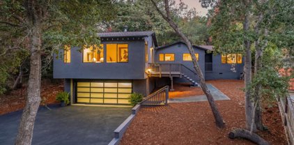 236 Canyon DR, Portola Valley