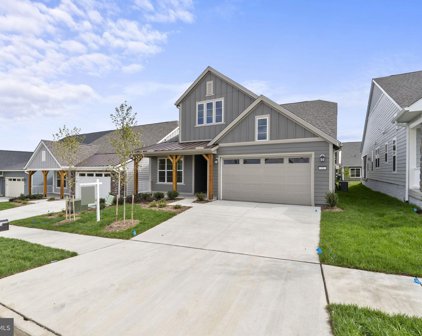 131 Cowbird St, Lake Frederick