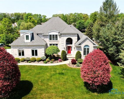 8750 Birch Bark, Sylvania