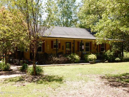 10418 Ms 315, Sardis