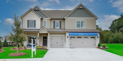 1725 Cadence Street, Locust Grove