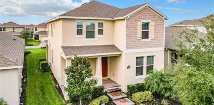 10288 Merrymeeting Bay Drive, Winter Garden