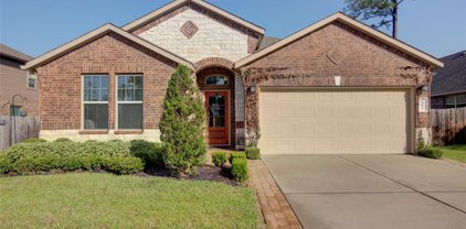 14011 Routt Forest Trail, Conroe