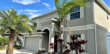 18332 Rossendale Court, Land O' Lakes