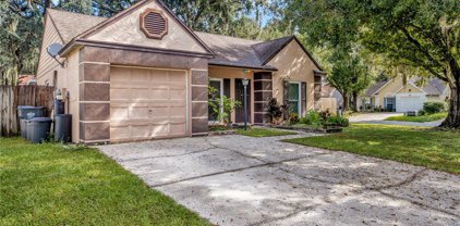 4636 Cabbage Palm Drive, Valrico