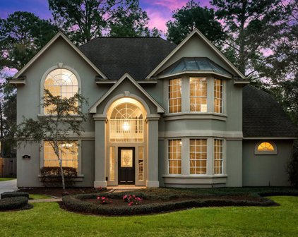 30 Treescape Circle, The Woodlands