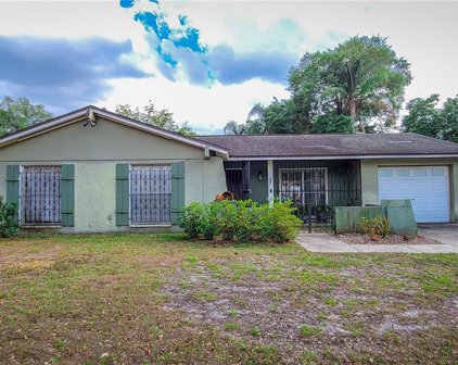 3118 W Paris Street, Tampa