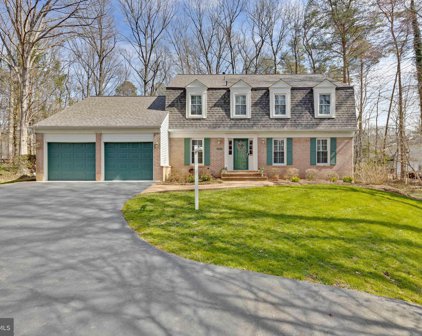 6203 Falcon Landing Ct, Burke