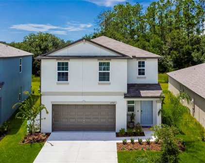 12729 Maple Bonsai Drive, Riverview