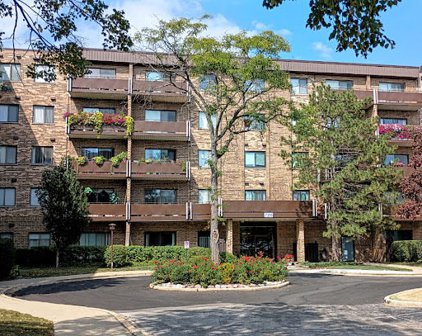 720 Wellington Avenue Unit #317, Elk Grove Village