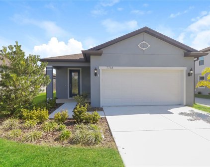 7744 Yale Harbor Drive, Wesley Chapel