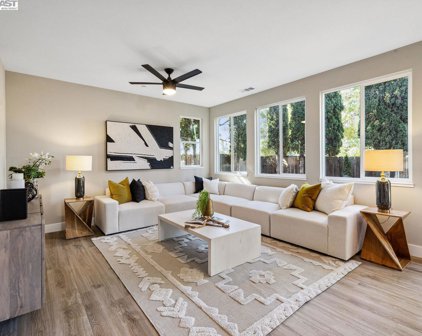 20355 Leif Lane, Hayward