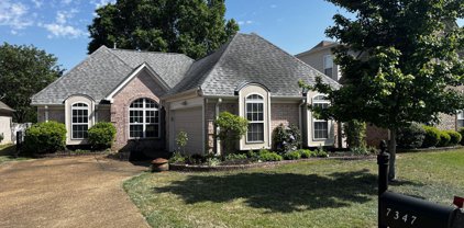 7347 Lauren Lane, Olive Branch
