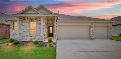 1133 Cropout  Way, Fort Worth