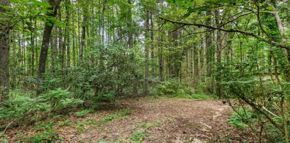 4089 Little River  Road, Hendersonville