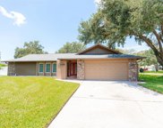 3001 Wilton Lane, Valrico image