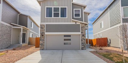 11429 Piping Plover Place, Colorado Springs