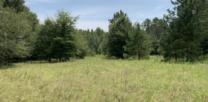 00000 HIGHWAY 23 S, Waynesboro
