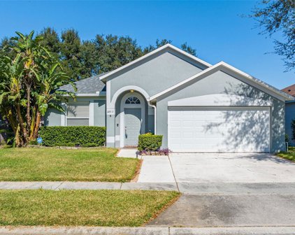 22829 Marsh Wren Drive, Land O' Lakes