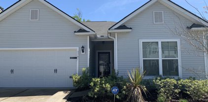 2797 Conservancy Lane, Charleston