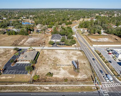 10288 Lot 8 Yale Avenue, Weeki Wachee