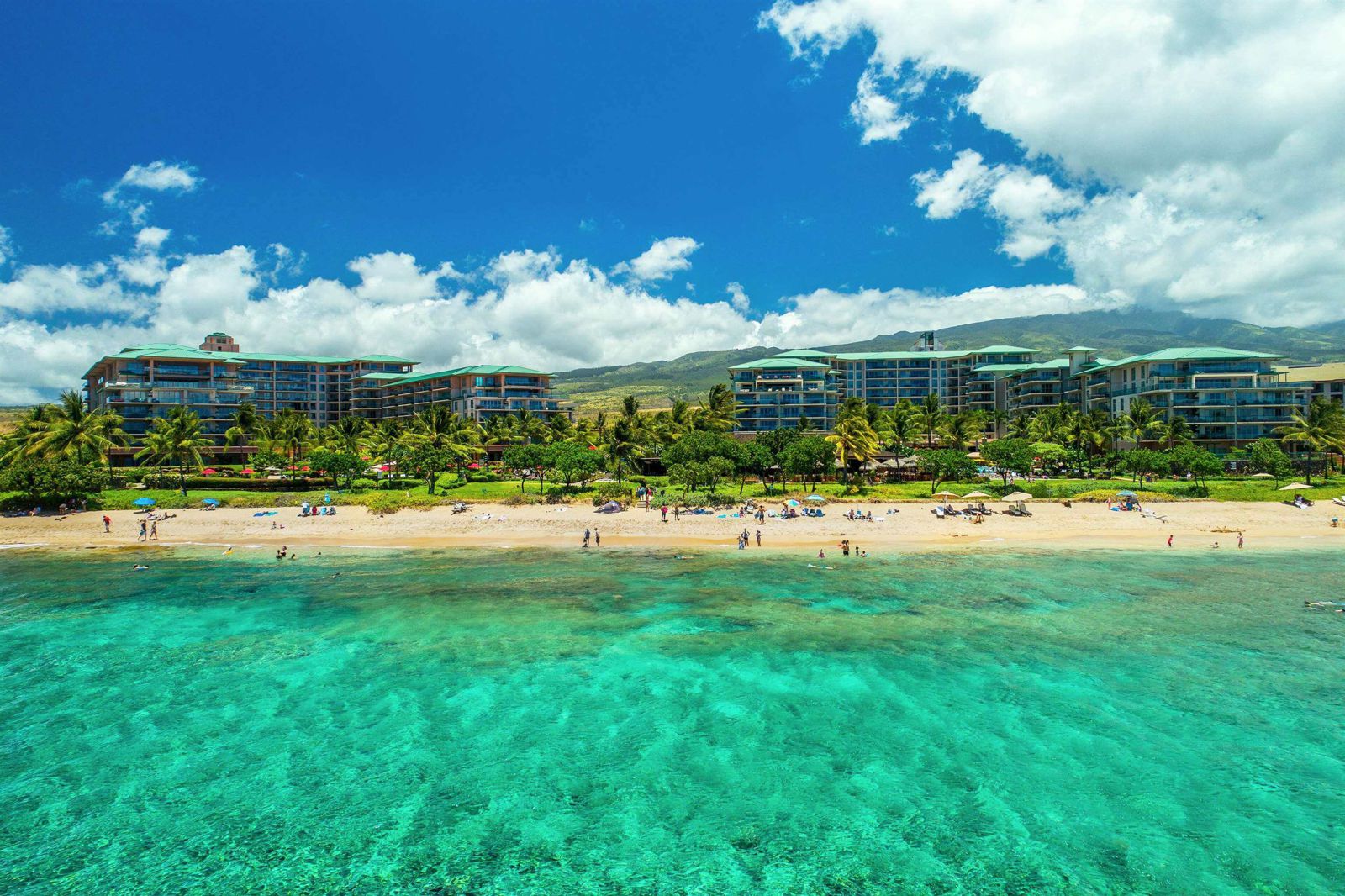 Hawaii Maui Homes for Sale