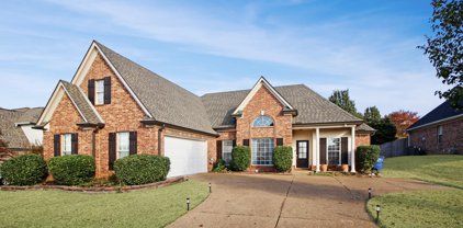 10606 Three Wishes Drive, Olive Branch