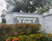 4113 Brentwood Park Circle, Tampa image