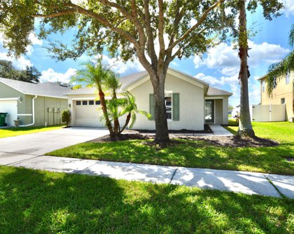 5029 Whistling Pines Court, Wesley Chapel