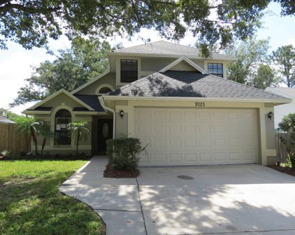 2025 Darlington Oak Drive, Seffner
