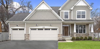 215 W 59Th Street, Downers Grove