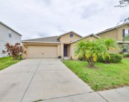 8212 Cherry Branch Drive, Ruskin image