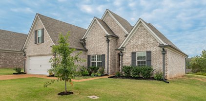 233 Magnolia Gardens Drive, Hernando