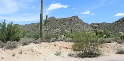 13722 N Nesting Quail Unit #232, Marana