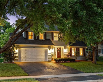 10100 Buckingham Drive, Eden Prairie