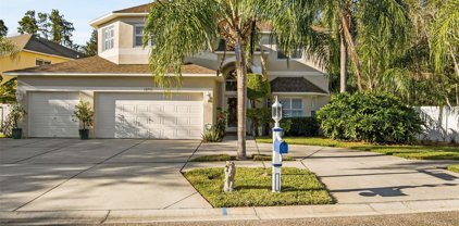 18905 Fishermans Bend Drive, Lutz