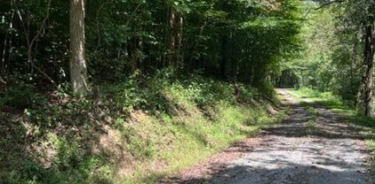 7053 Lot 2 Cooks Hollow Rd, Maryville