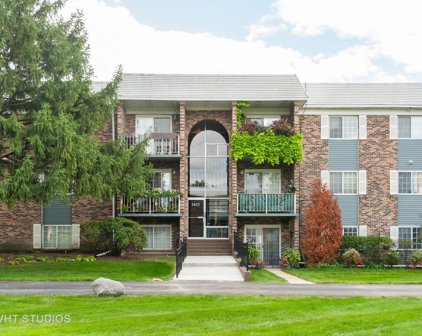 1611 N Windsor Drive Unit #305, Arlington Heights
