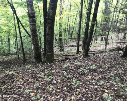 60.83 Acre Dana Cope Hollow Rd, Thorn Hill