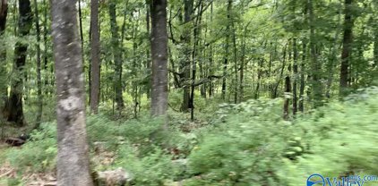 1.85 acres Keel Mountain Road, Gurley