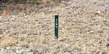 264 Toucan Dr, Spring Branch