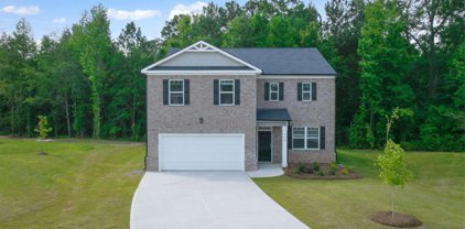 1582 Oakbrook Pond Place, Dacula