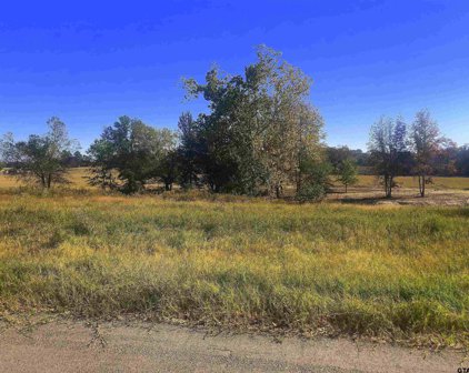 11917 Tara Lane, Lindale