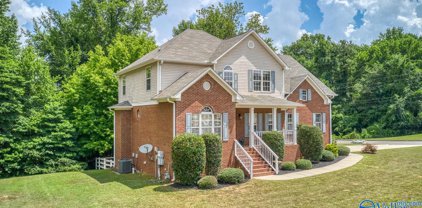 234 Blackwater Drive, Harvest